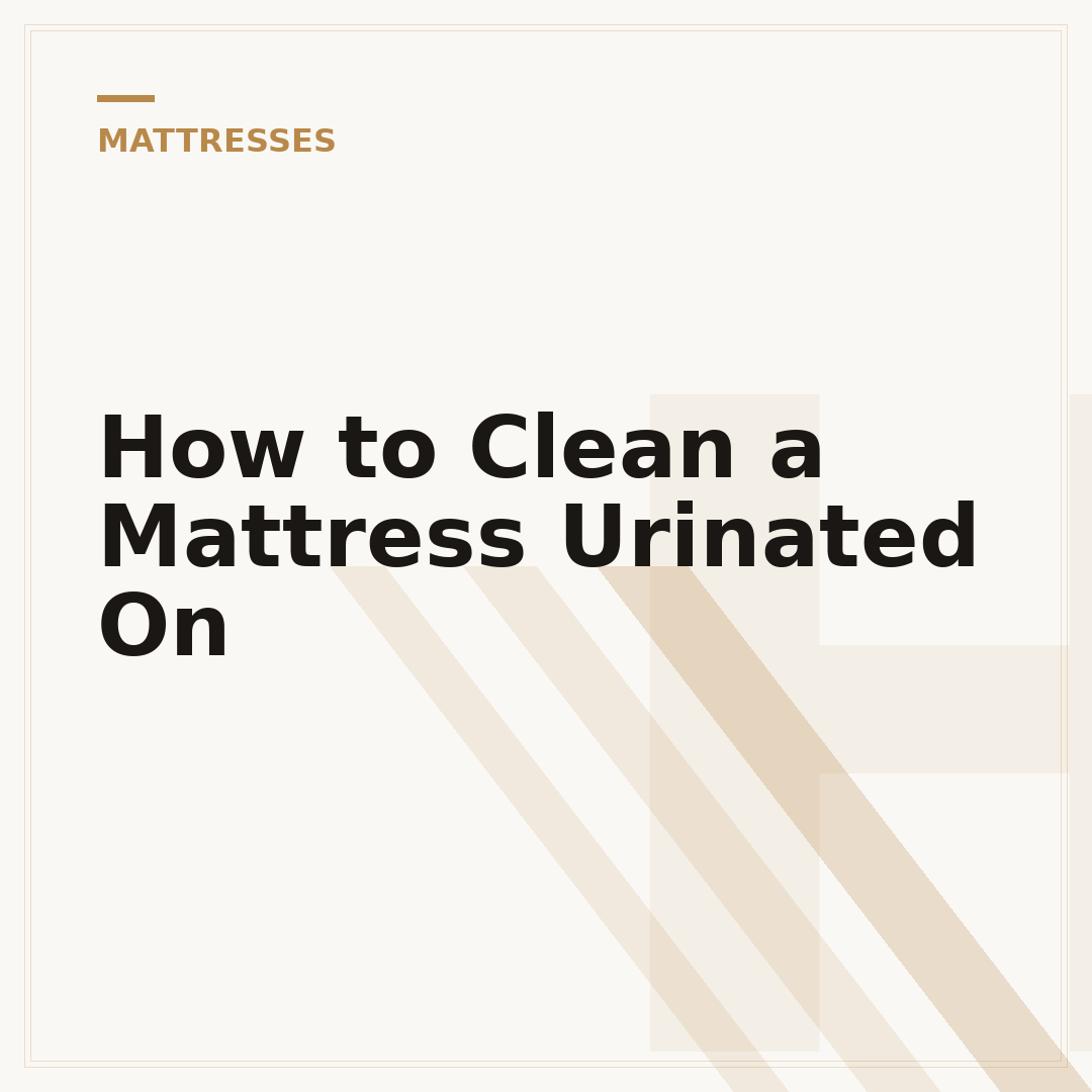 How to Clean a Mattress Urinated On