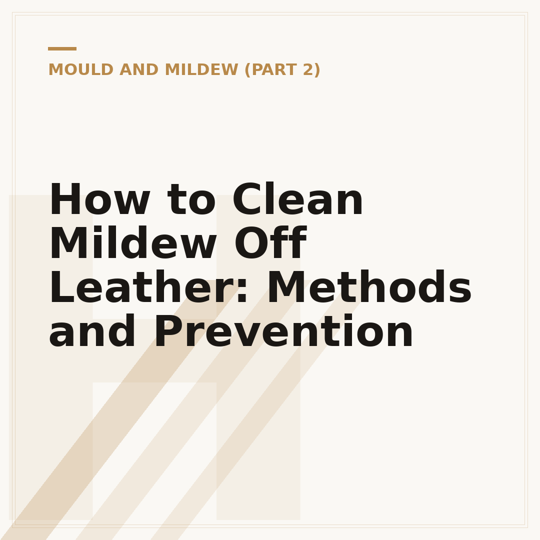How to Clean Mildew Off Leather: Methods and Prevention