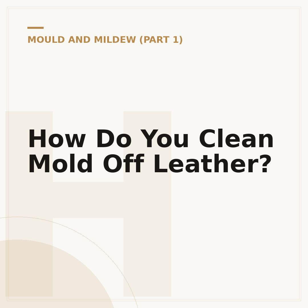 How Do You Clean Mold Off Leather?