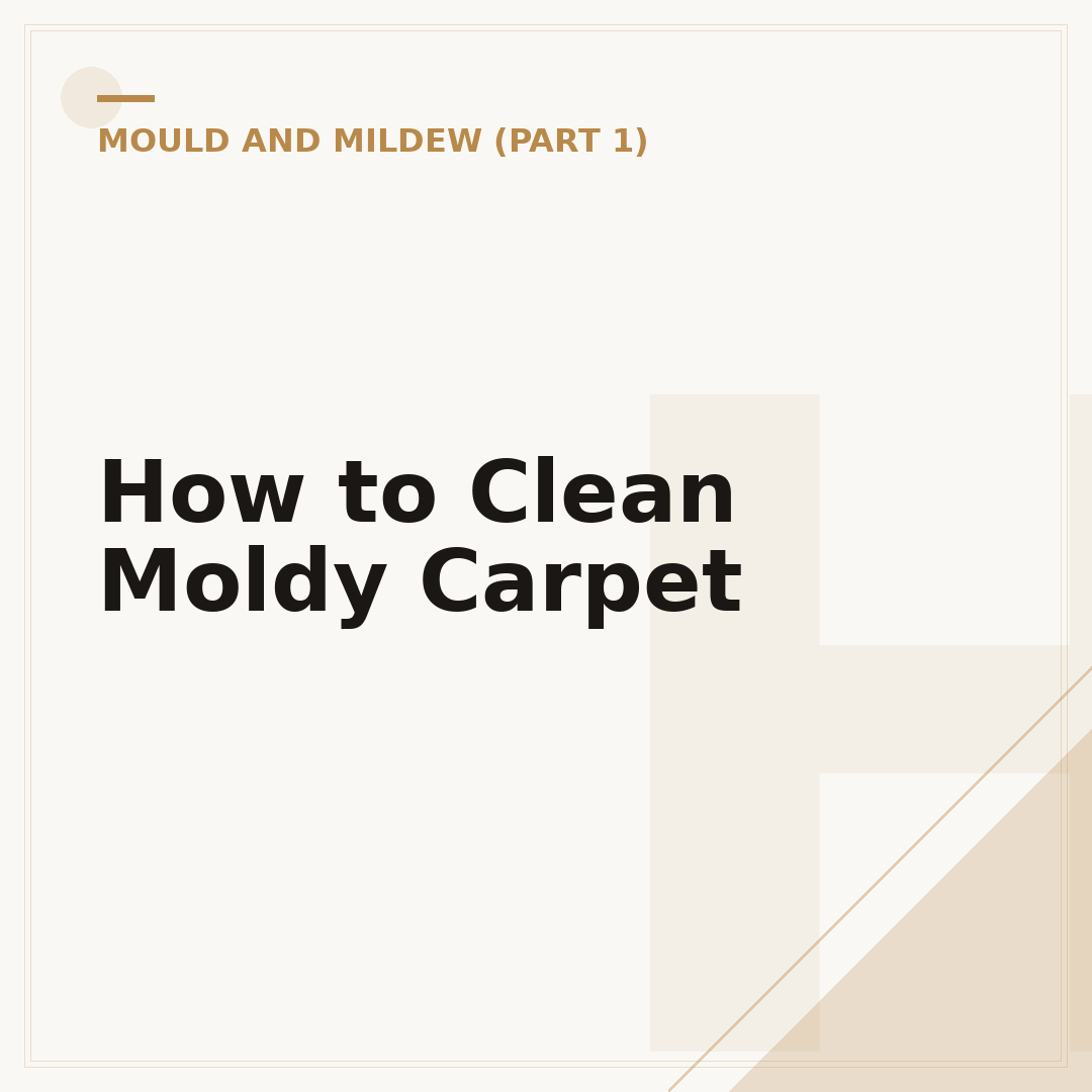 How to Clean Moldy Carpet
