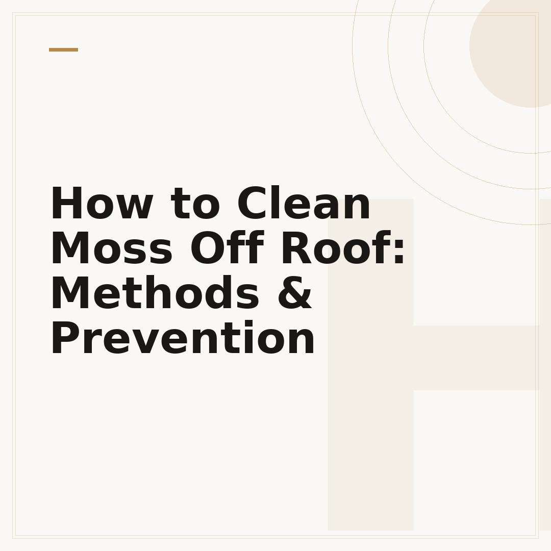 How to Clean Moss Off Roof: Methods & Prevention