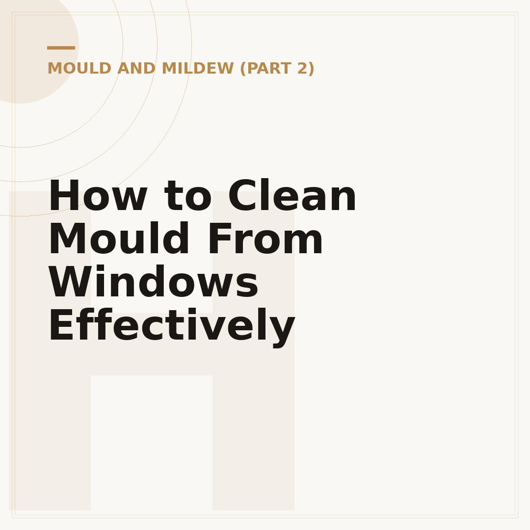 How to Clean Mould From Windows Effectively