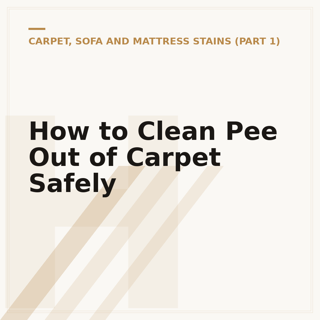 How to Clean Pee Out of Carpet Safely