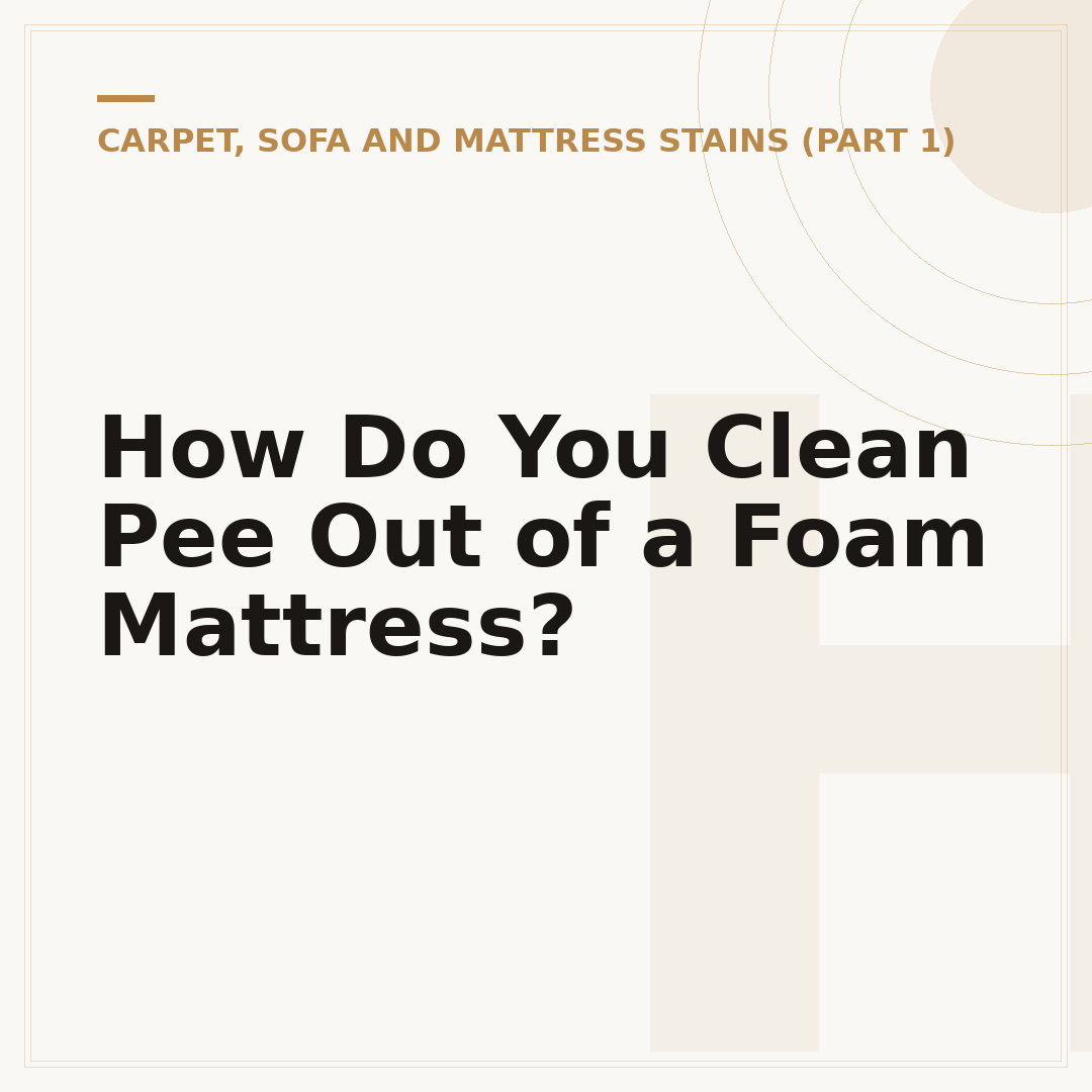 How Do You Clean Pee Out of a Foam Mattress?