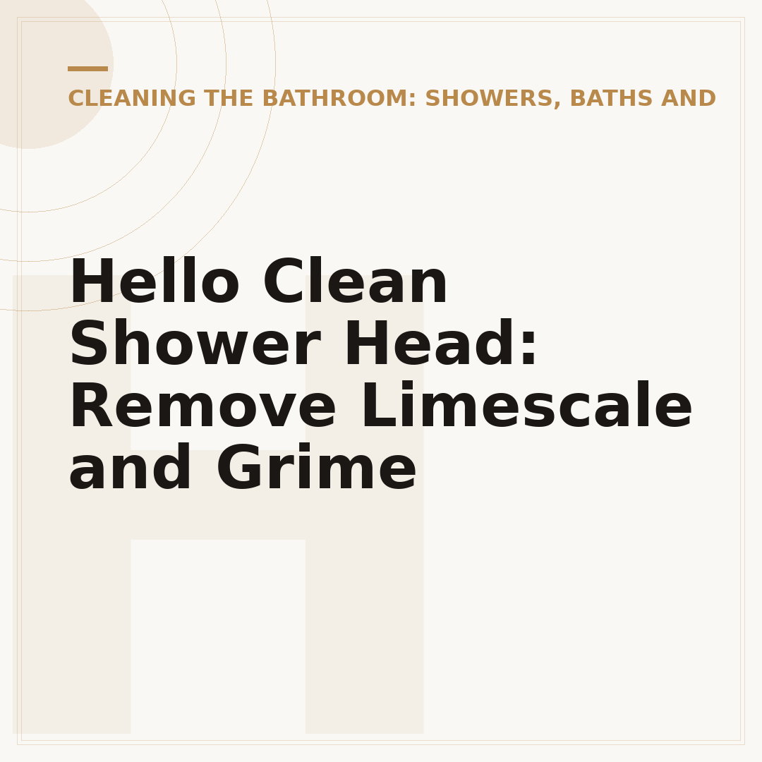 Hello Clean Shower Head: Remove Limescale and Grime