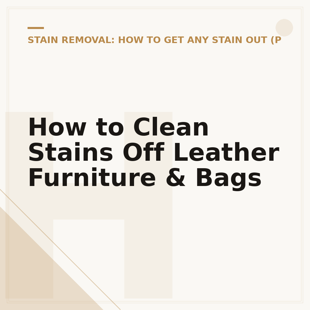 How to Clean Stains Off Leather Furniture & Bags
