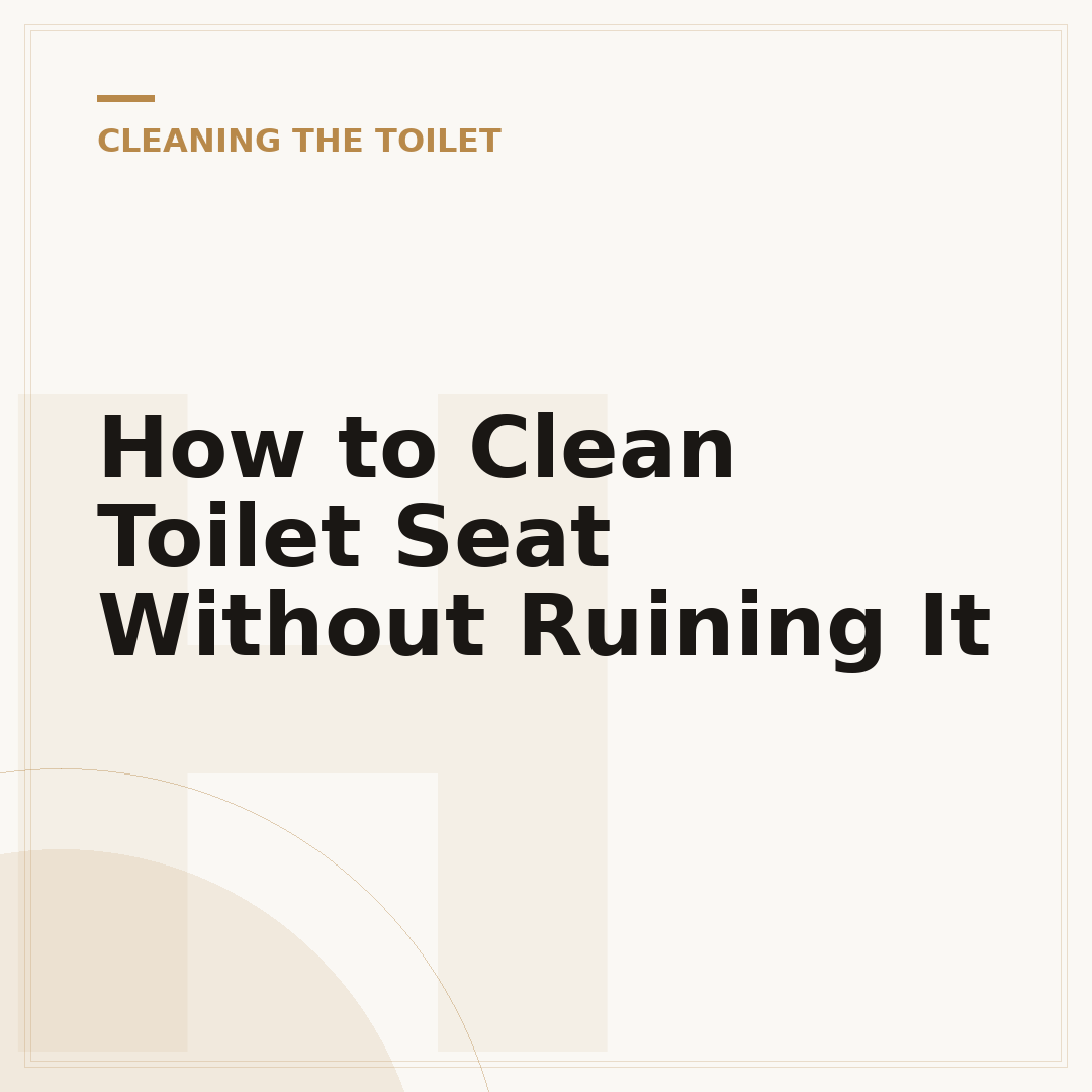 How to Clean Toilet Seat Without Ruining It