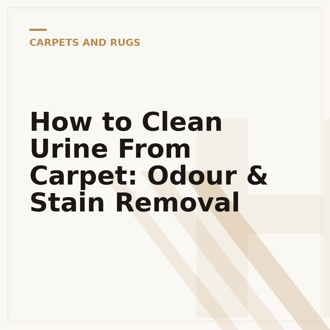 How to Clean Urine From Carpet: Odour & Stain Removal