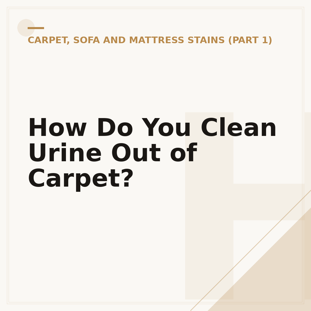 How Do You Clean Urine Out of Carpet?