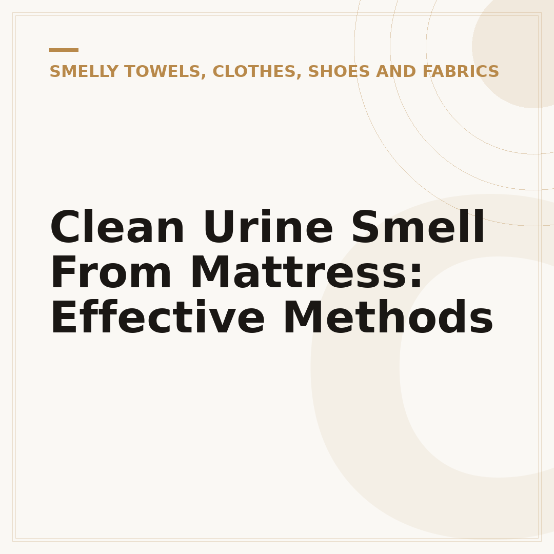 Clean Urine Smell From Mattress: Effective Methods