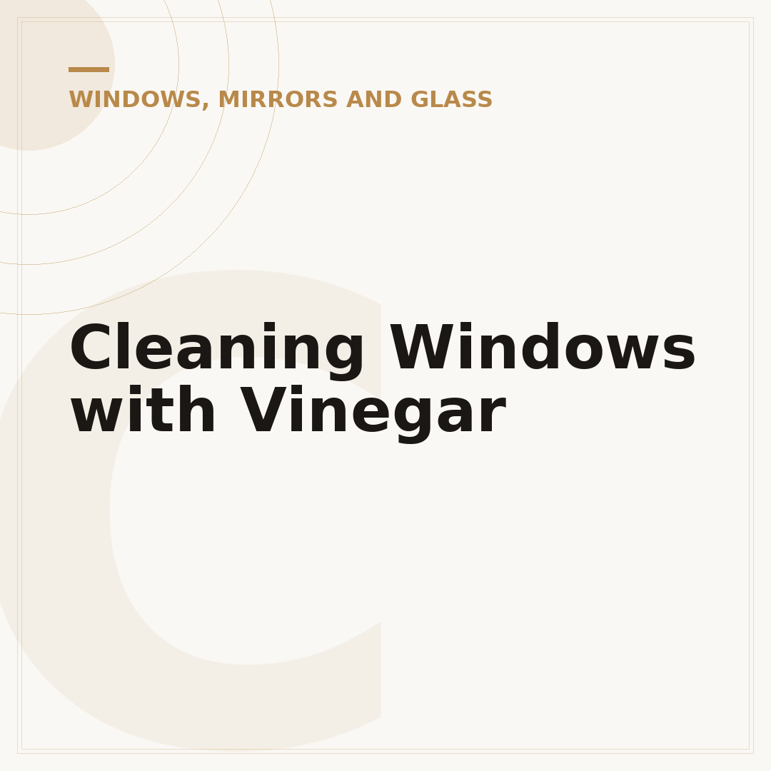 Cleaning Windows with Vinegar