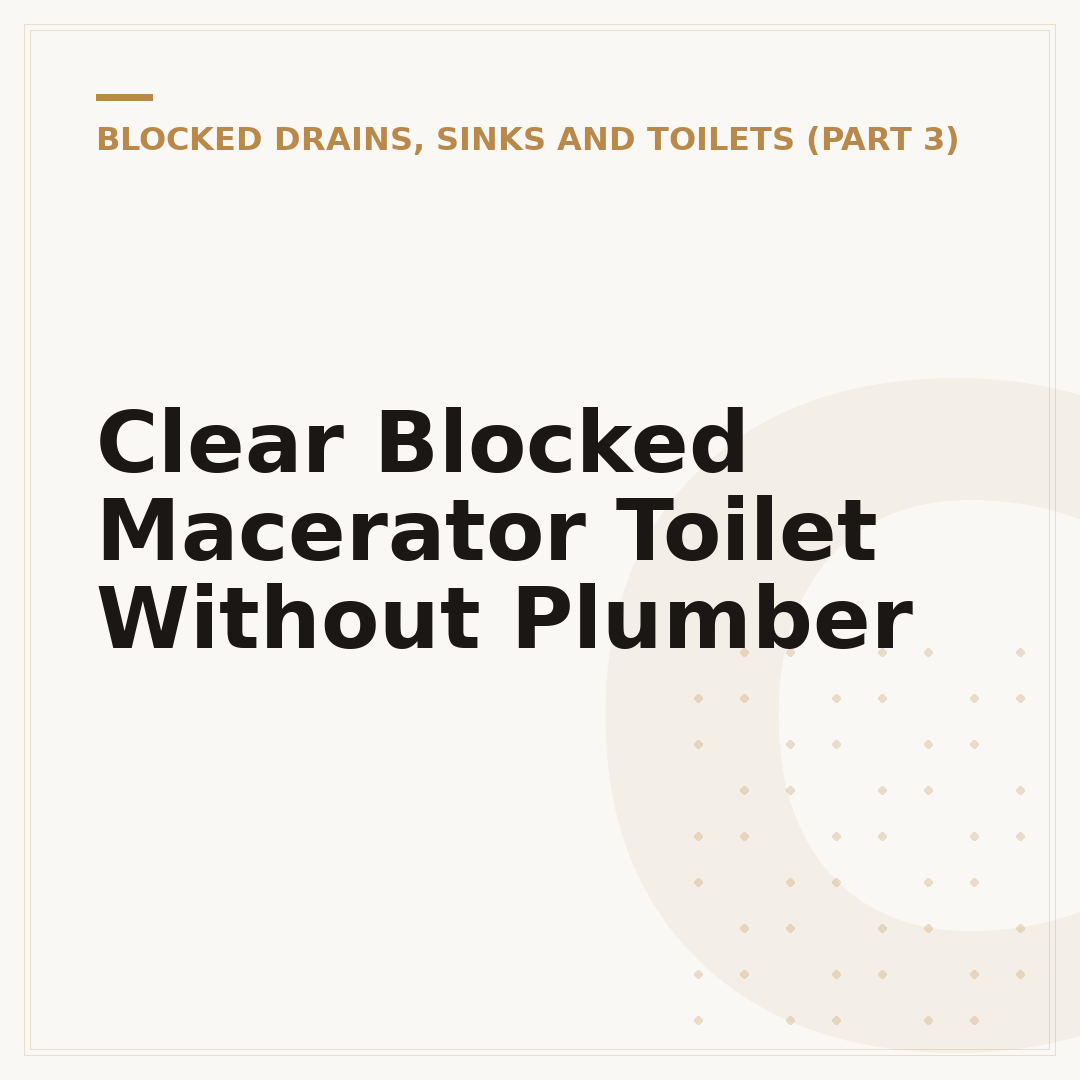 Clear Blocked Macerator Toilet Without Plumber
