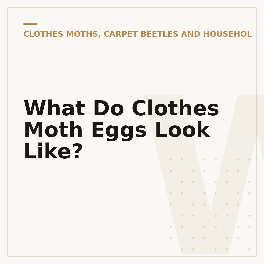What Do Clothes Moth Eggs Look Like?