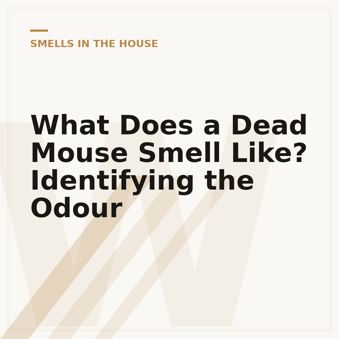 What Does a Dead Mouse Smell Like? Identifying the Odour