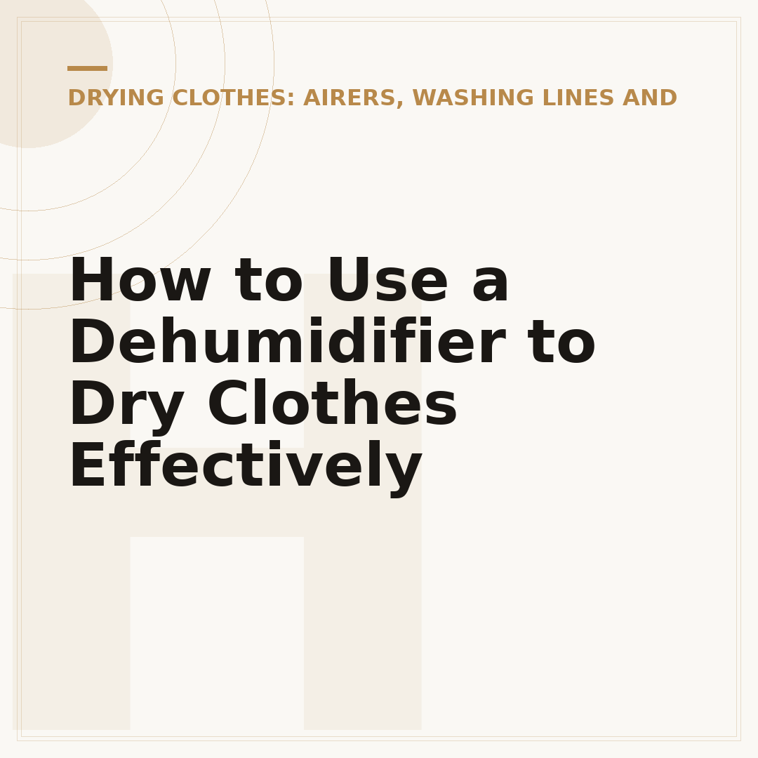 How to Use a Dehumidifier to Dry Clothes Effectively