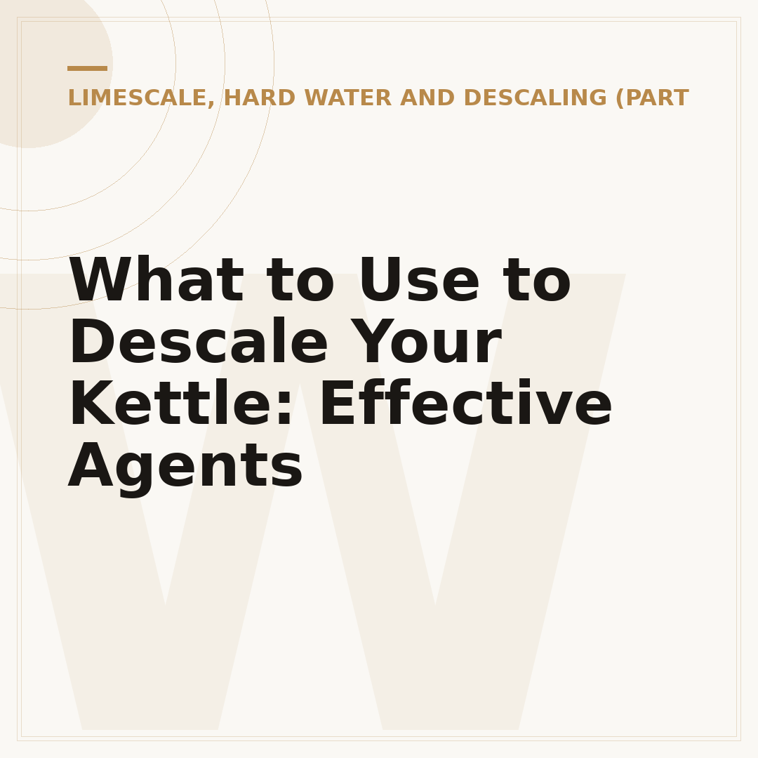 What to Use to Descale Your Kettle: Effective Agents