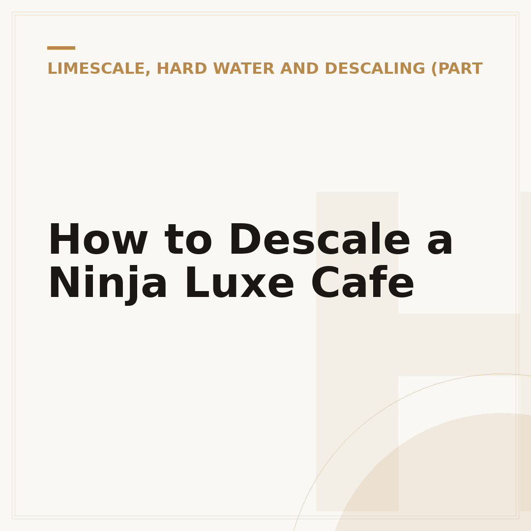 How to Descale a Ninja Luxe Cafe