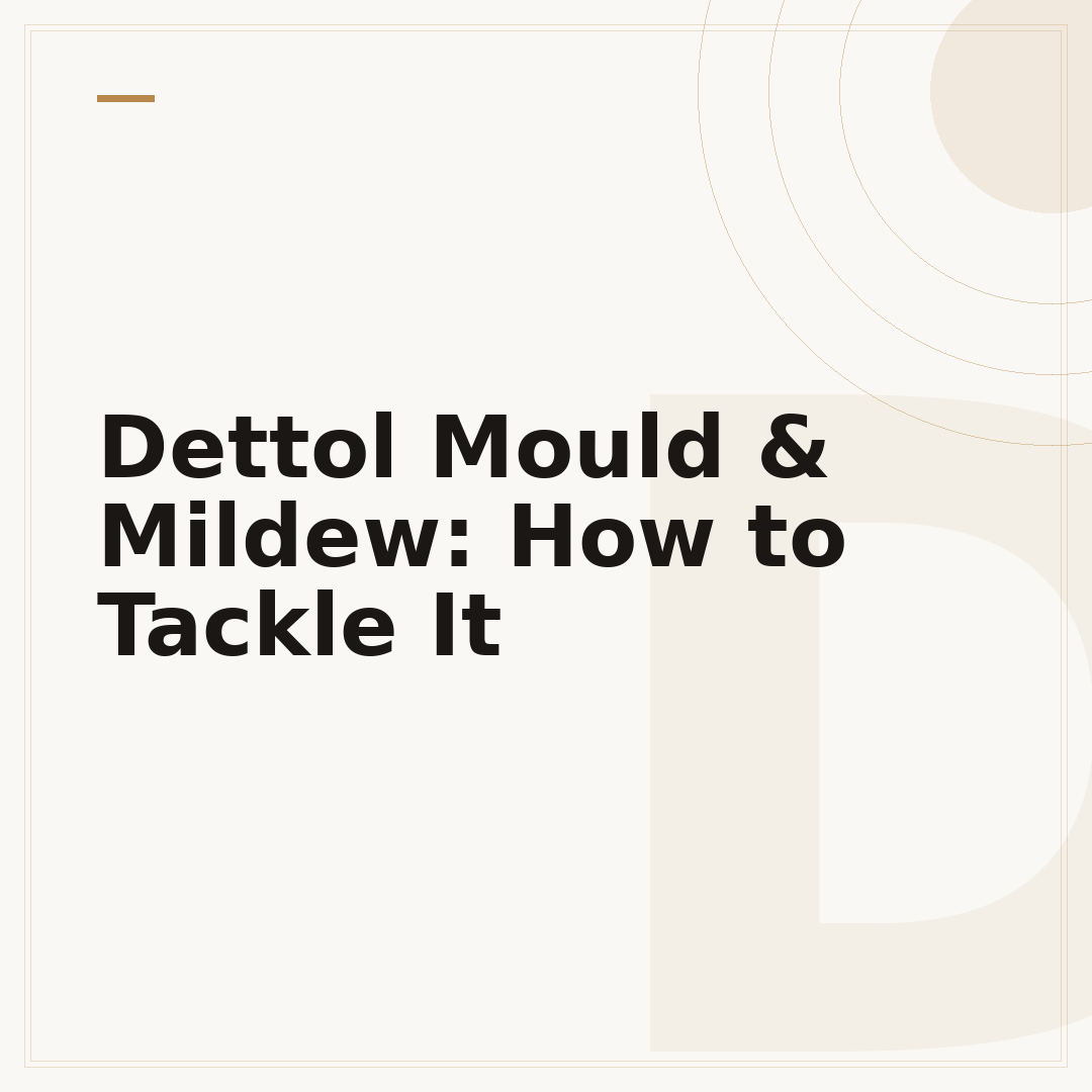 Dettol Mould & Mildew: How to Tackle It