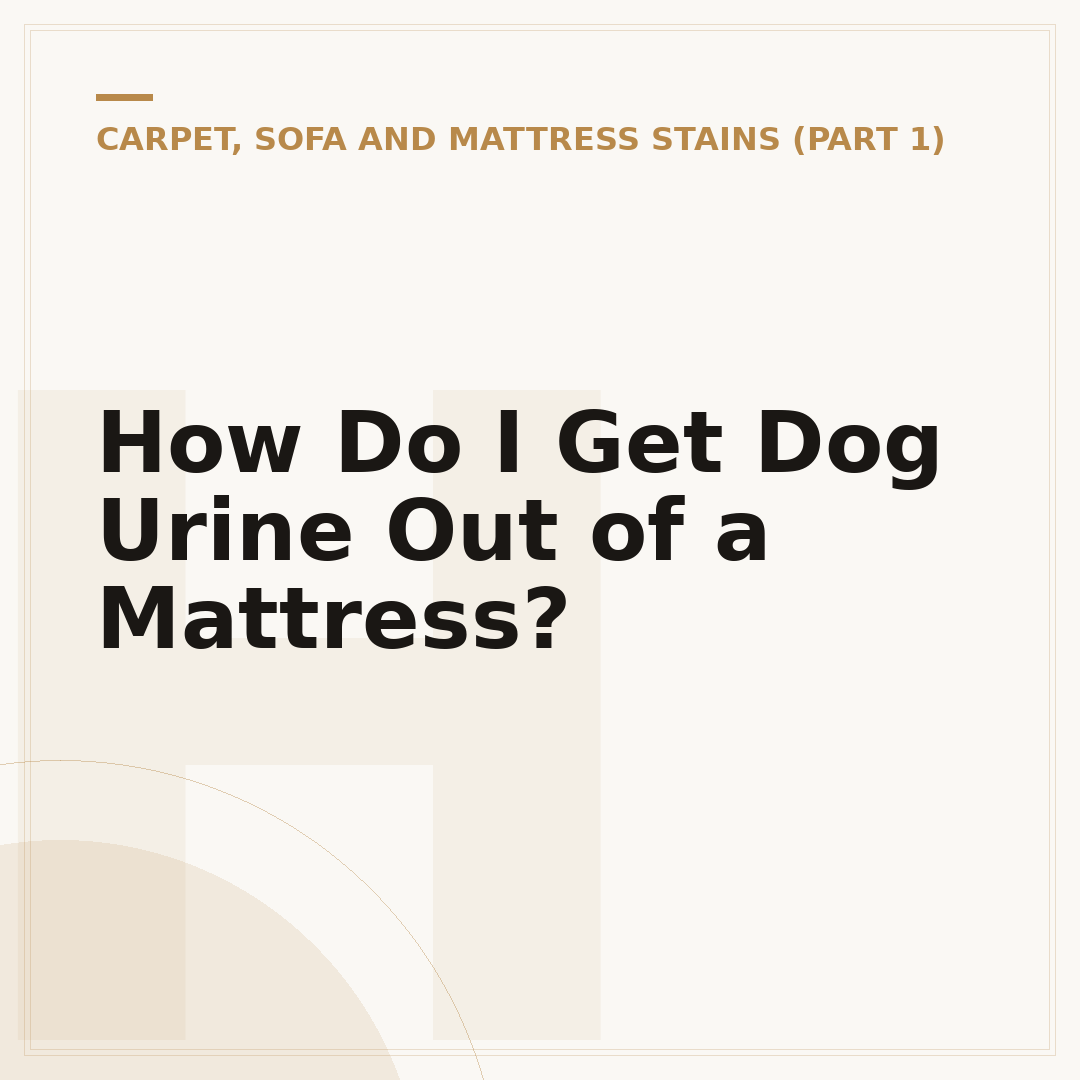 How Do I Get Dog Urine Out of a Mattress?