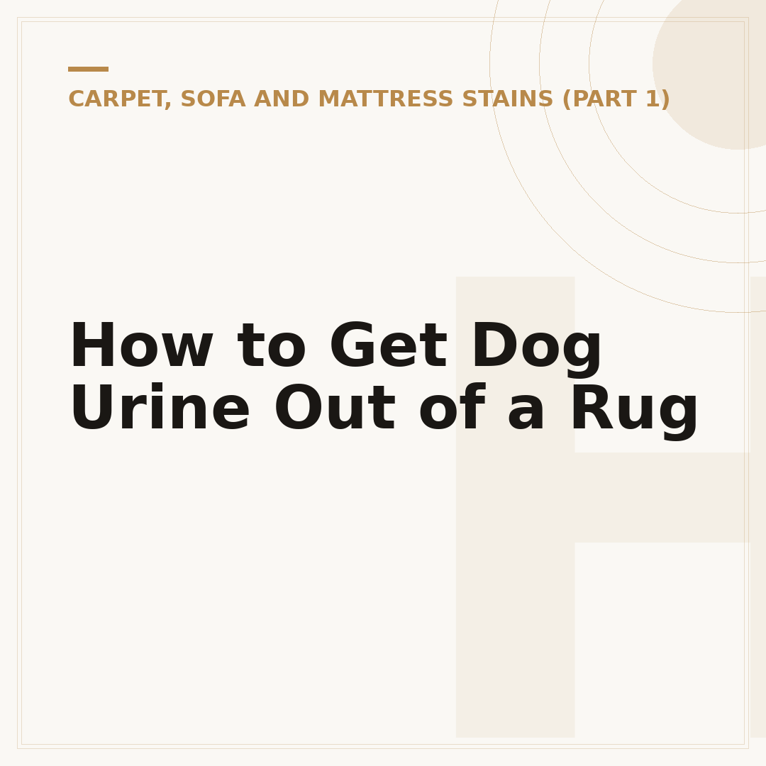 How to Get Dog Urine Out of a Rug