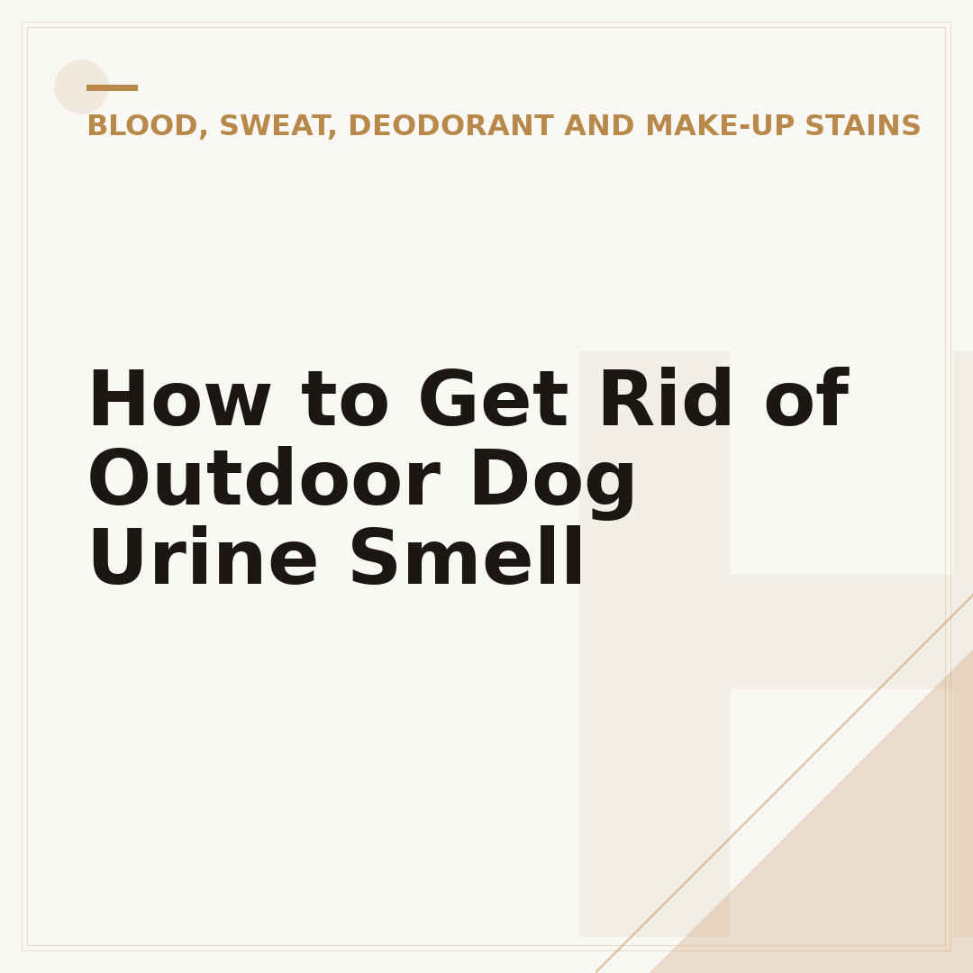 How to Get Rid of Outdoor Dog Urine Smell