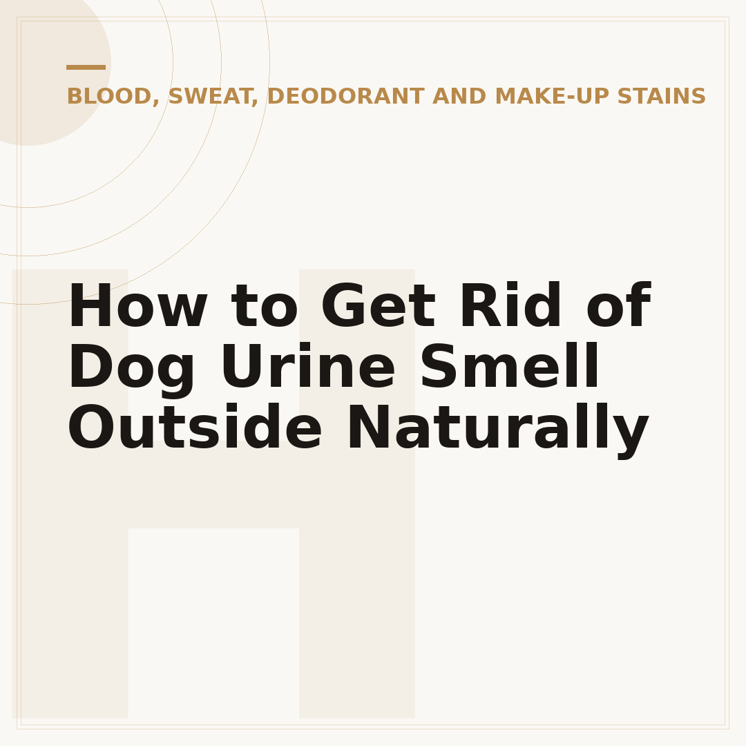 How to Get Rid of Dog Urine Smell Outside Naturally