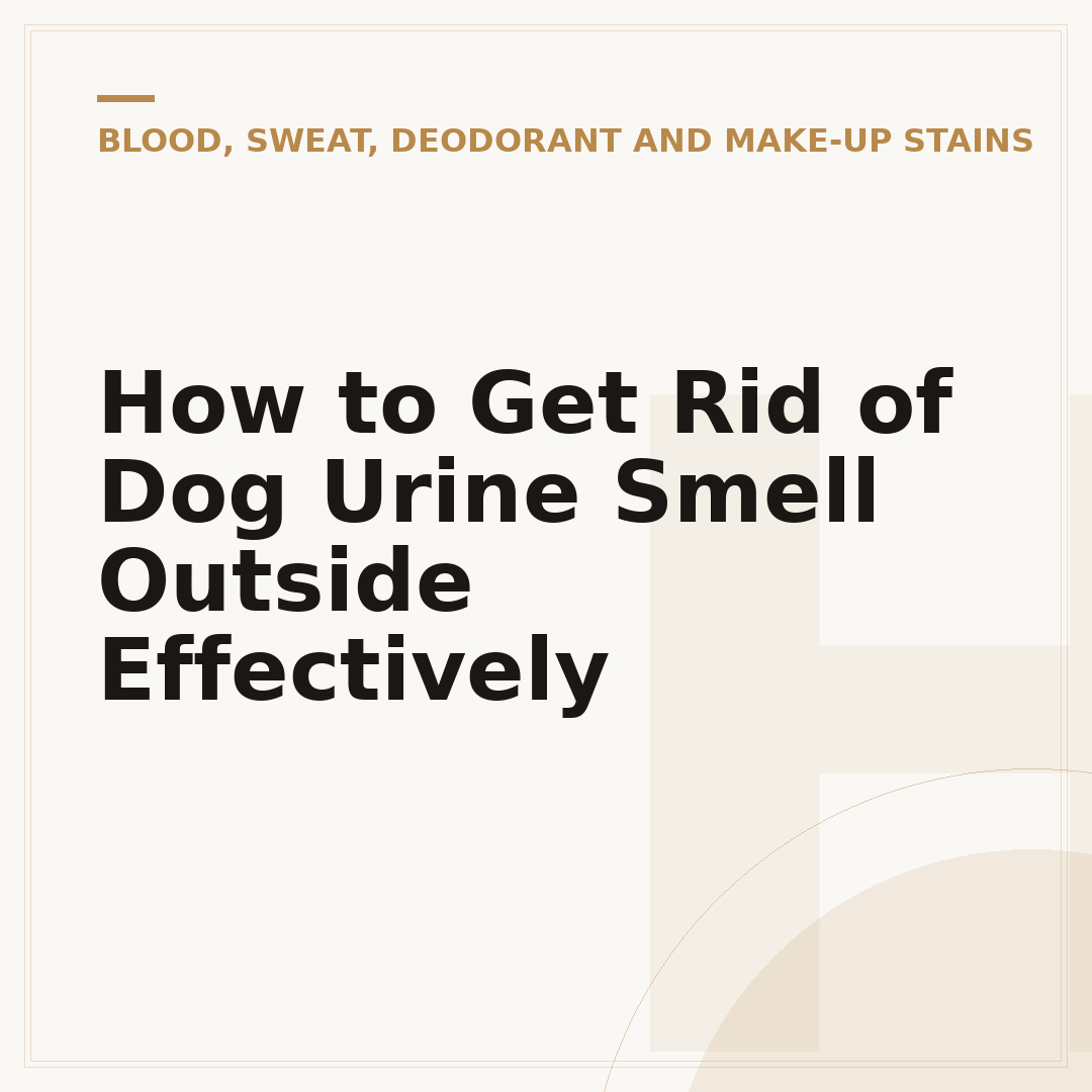 How to Get Rid of Dog Urine Smell Outside Effectively