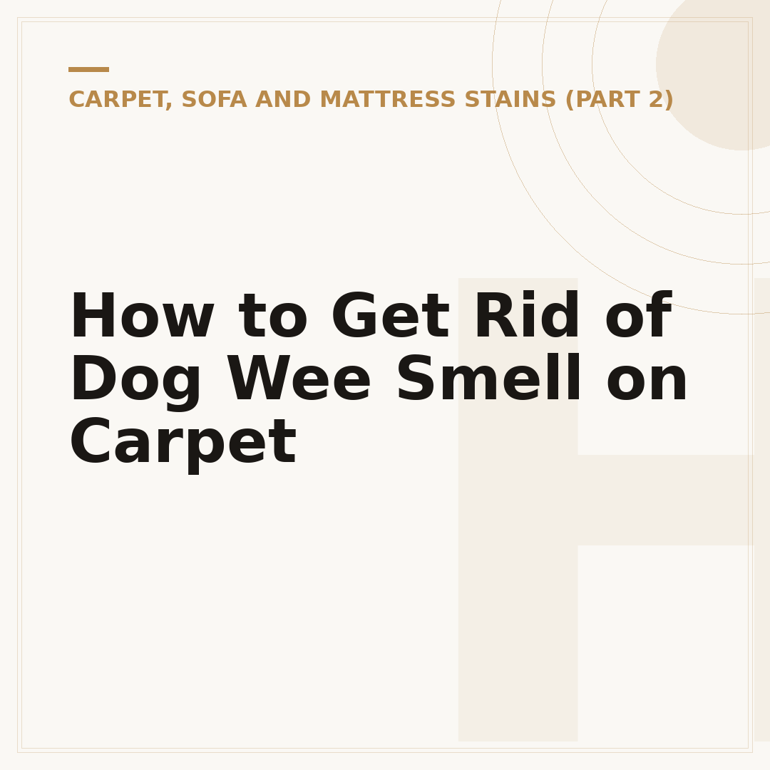 How to Get Rid of Dog Wee Smell on Carpet