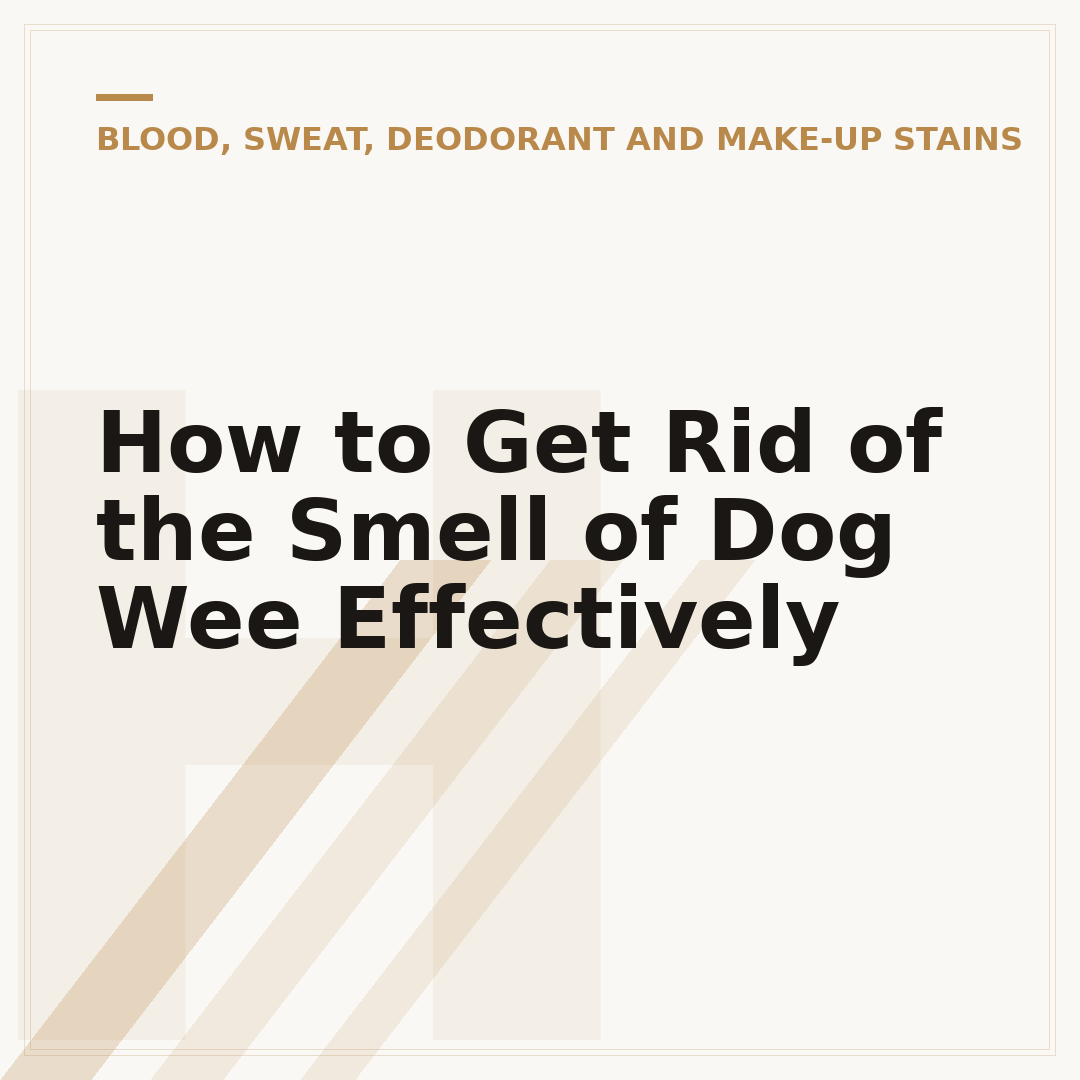 How to Get Rid of the Smell of Dog Wee Effectively