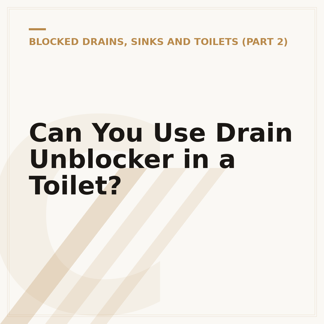 Can You Use Drain Unblocker in a Toilet?