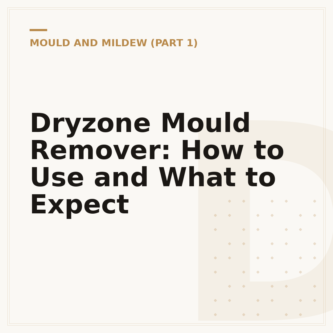 Dryzone Mould Remover: How to Use and What to Expect