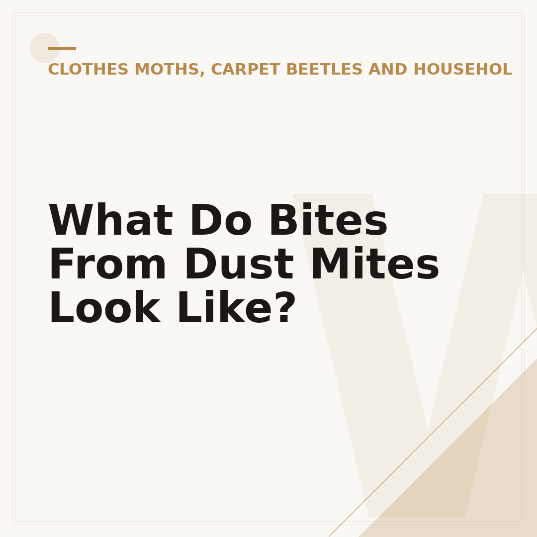What Do Bites From Dust Mites Look Like?