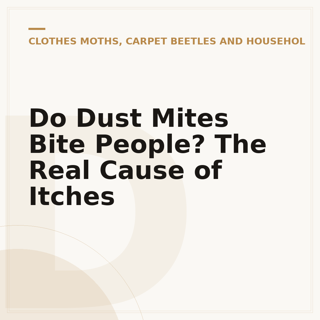 Do Dust Mites Bite People? The Real Cause of Itches