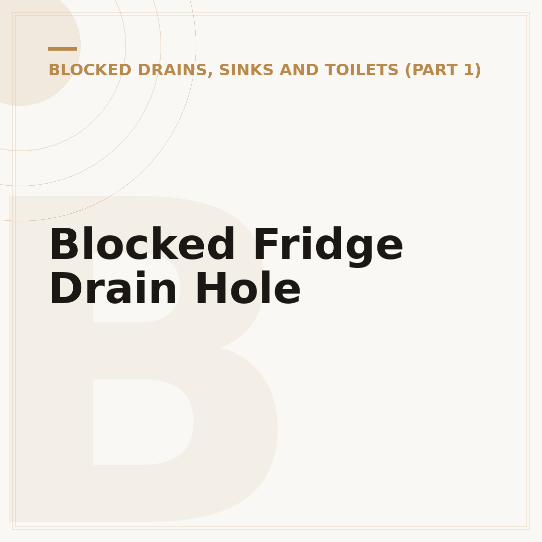 Blocked Fridge Drain Hole
