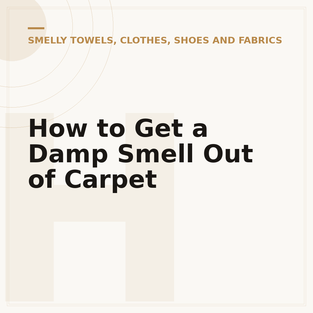 How to Get a Damp Smell Out of Carpet