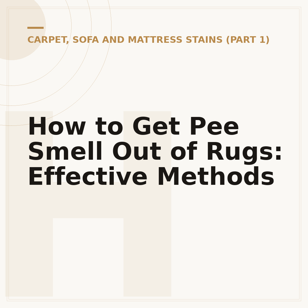 How to Get Pee Smell Out of Rugs: Effective Methods