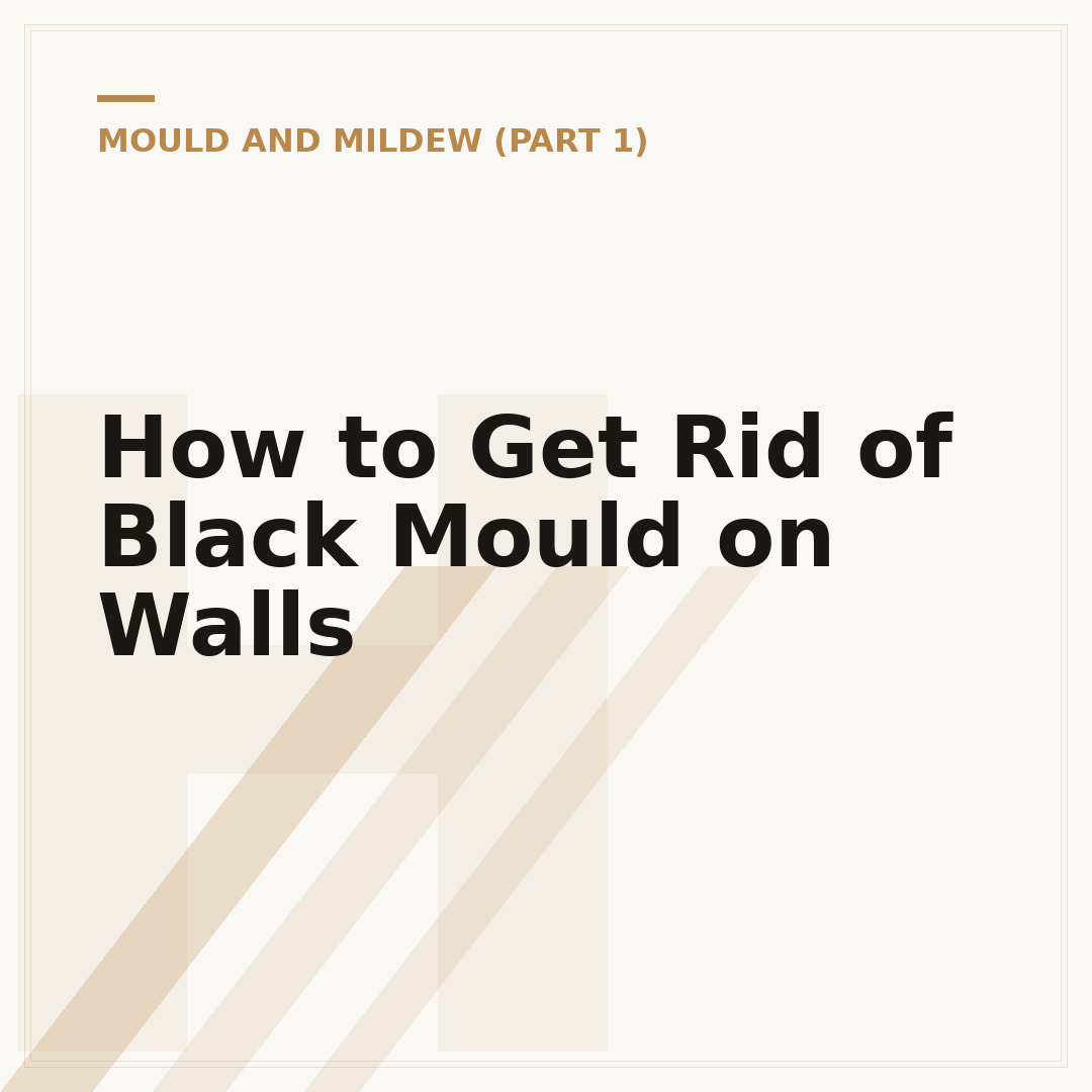 How to Get Rid of Black Mould on Walls