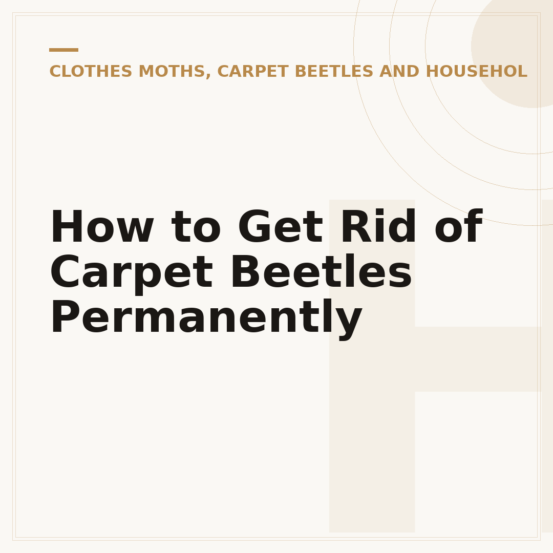 How to Get Rid of Carpet Beetles Permanently