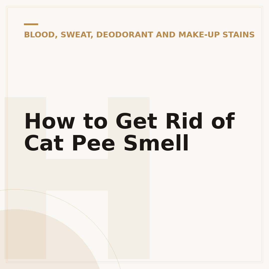 How to Get Rid of Cat Pee Smell