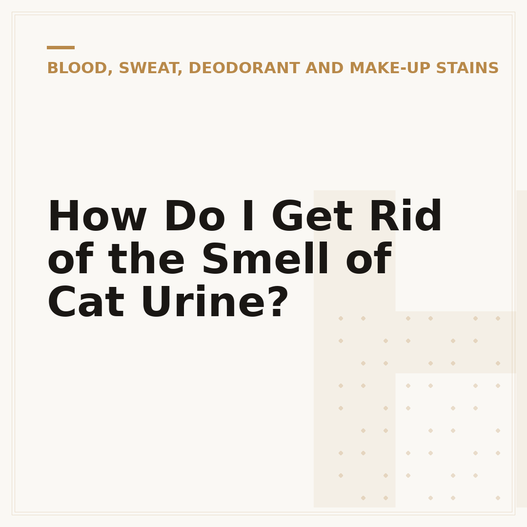 How Do I Get Rid of the Smell of Cat Urine?