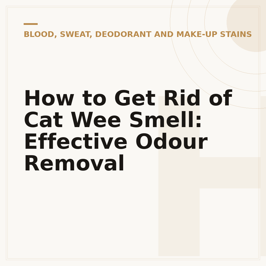 How to Get Rid of Cat Wee Smell: Effective Odour Removal