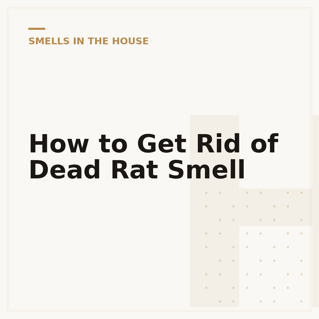 How to Get Rid of Dead Rat Smell