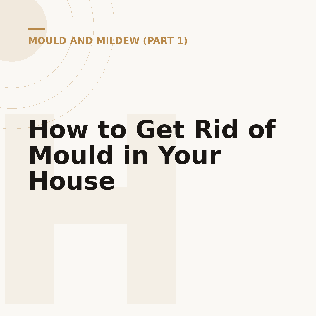 How to Get Rid of Mould in Your House