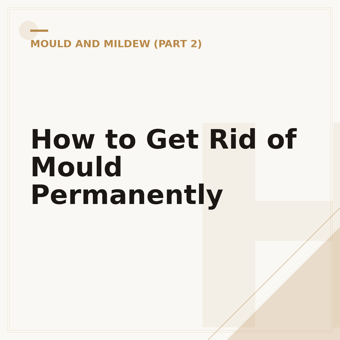 How to Get Rid of Mould Permanently