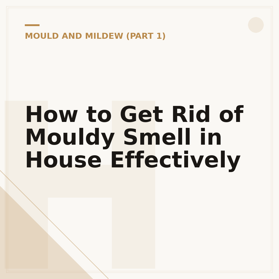 How to Get Rid of Mouldy Smell in House Effectively