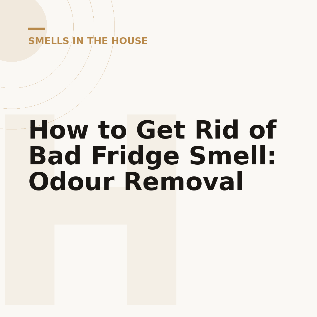 How to Get Rid of Bad Fridge Smell: Odour Removal