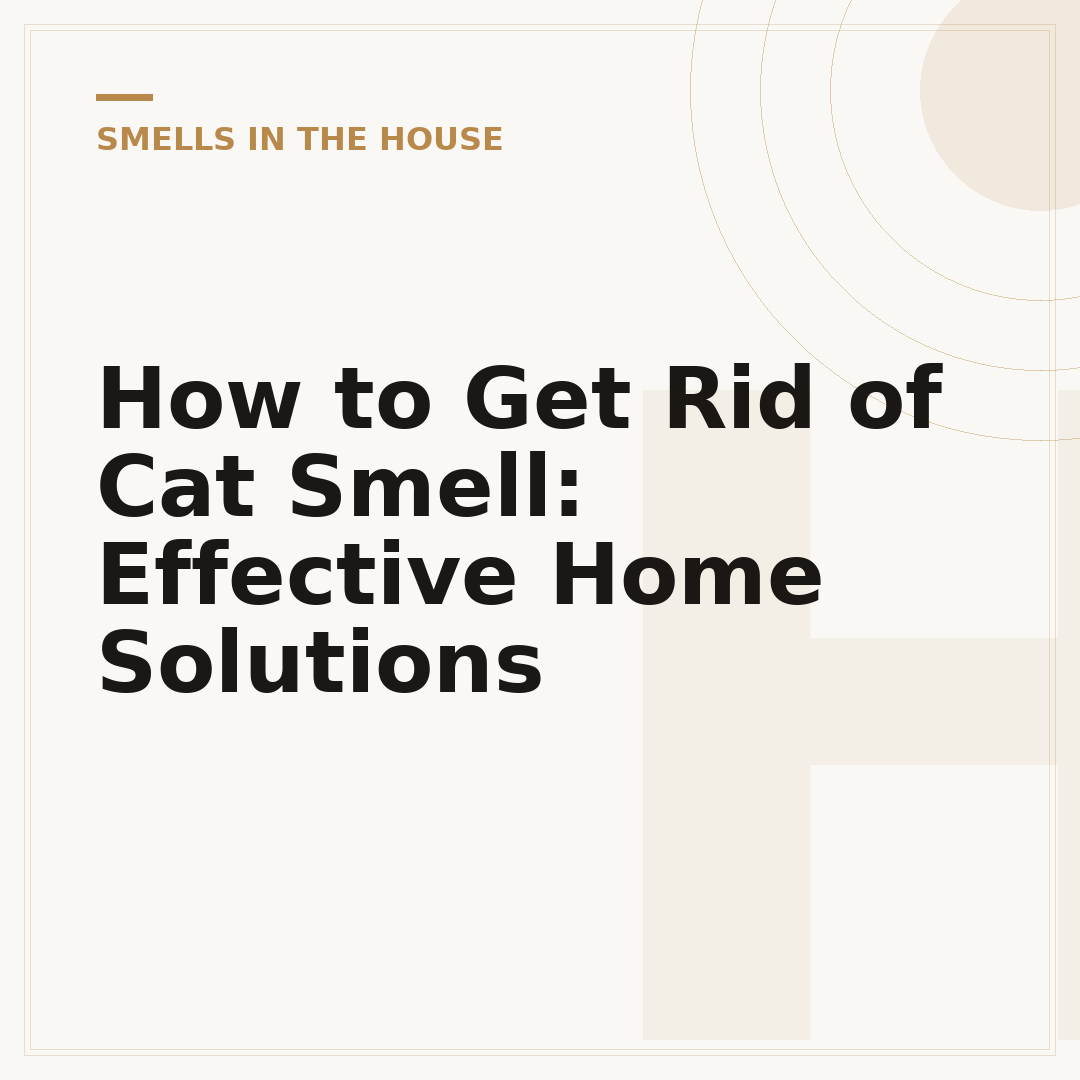 How to Get Rid of Cat Smell: Effective Home Solutions