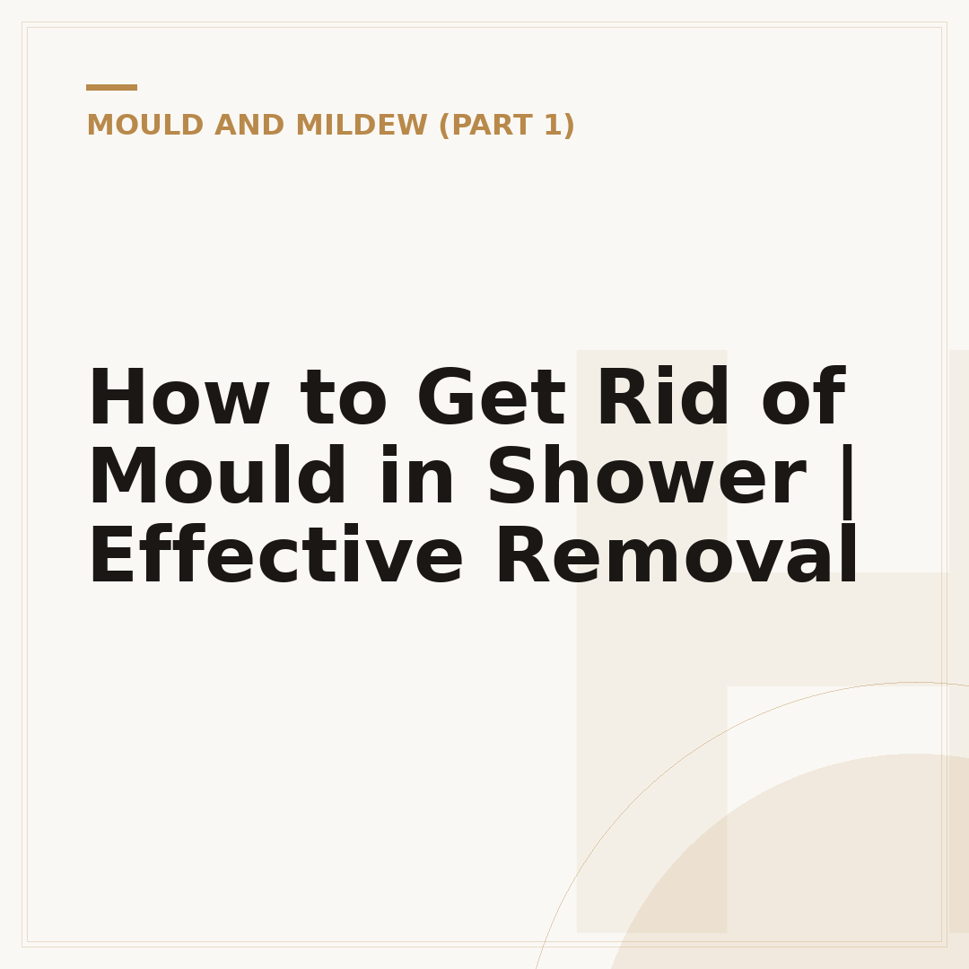 How to Get Rid of Mould in Shower | Effective Removal