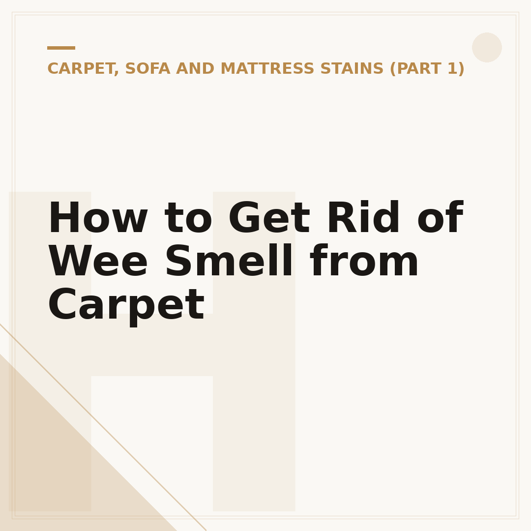 How to Get Rid of Wee Smell from Carpet