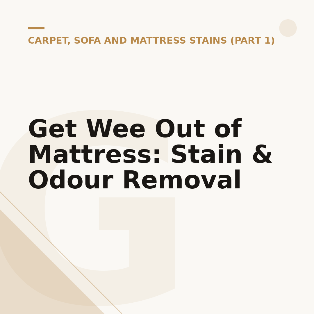Get Wee Out of Mattress: Stain & Odour Removal